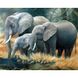 Набір алмазної мозаїки "Сім'я слонів"