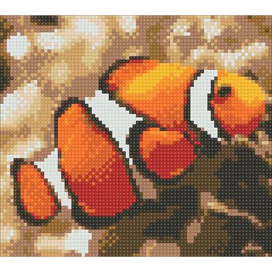 Набір алмазної мозаїки "Риба клоун"