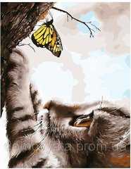 Картина по номерам "Котик и бабочка"