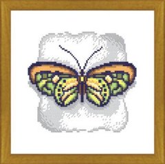 Канва з нанесеним малюнком "Метелик"