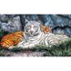 Набір алмазної мозаїки "Відпочинок тигрів"