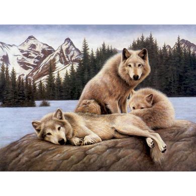 Набір алмазної мозаїки "Вовки на відпочинку"