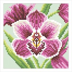 Схема для вышивки бисером "Орхидея"