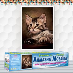 Набор алмазной мозаики "Милый котенок"