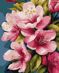 Картина по номерам "Яблуневі квіти"
