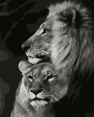 Картина за номерами "Пара левів"