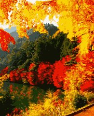 Картина по номерам "Яскрава осінь"
