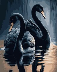 Картина по номерам "Чорні лебеді"