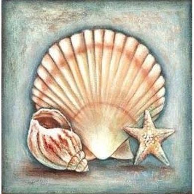 Набір алмазної мозаїки "Морська мушля"