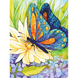 Набір алмазної мозаїки "Метелик на квітах"