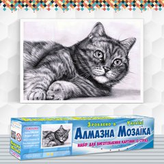 Набір алмазної мозаїки "Кіт - ледар""