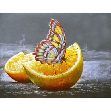 Набір алмазної мозаїки "Метелик на апельсині"