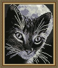 Набір алмазної мозаїки "Кіт під місяцем"