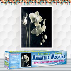Набор алмазной мозаики "Цвет орхидеи"