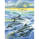Набор алмазной мозаики "Семья дельфинов"