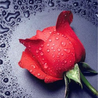 Набір алмазної мозаїки "Червона троянда"